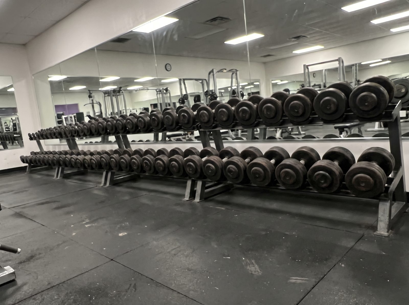 A long two-tier rack of black rubber dumbbells running from light to heavy along a mirrored gym wall