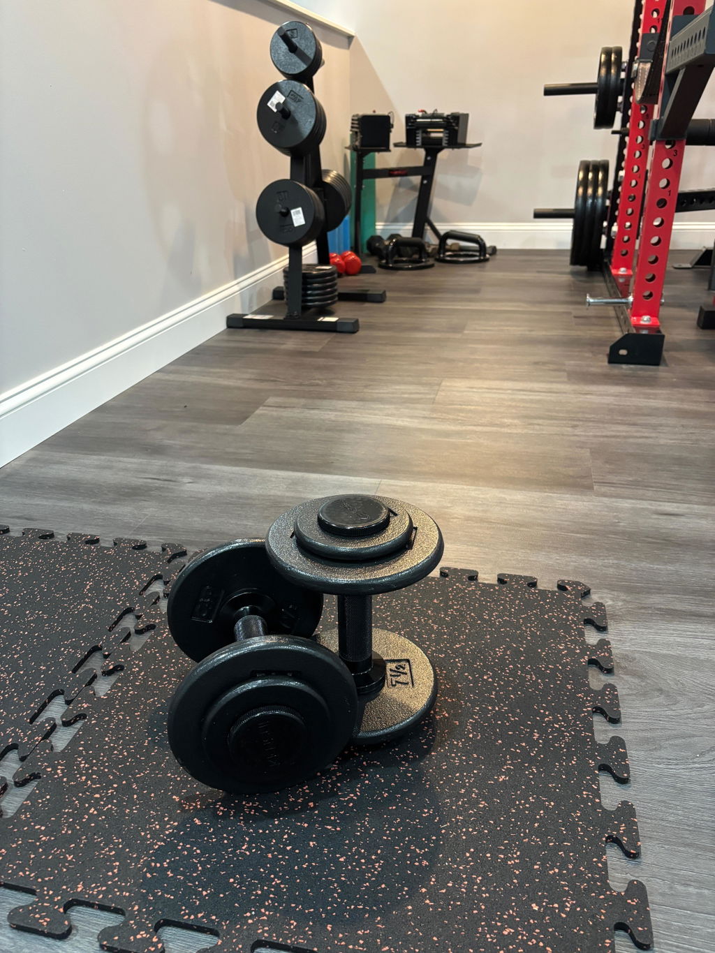 Loaded adjustable dumbbell standing on a rubber gym tile