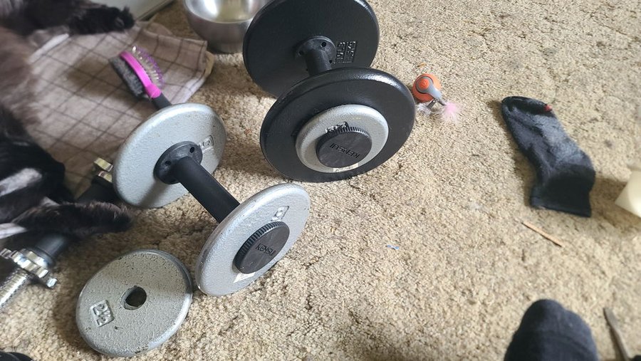 An owner's photograph of an AdaptaBELL handle taken apart on a carpet with its collars and a set of loose plates around it