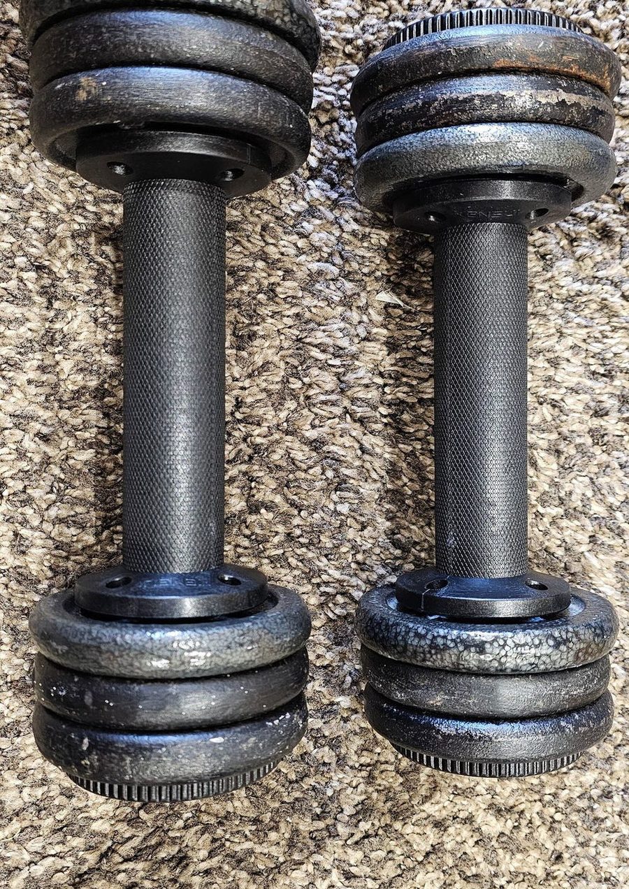 A pair of AdaptaBELL handles loaded with small standard plates lying on a carpet