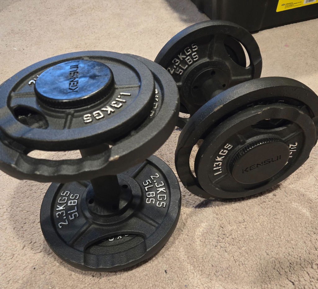 An owner's pair of black plate-loaded dumbbell handles on a carpet, loaded with 5 lb and 2.5 lb iron plates